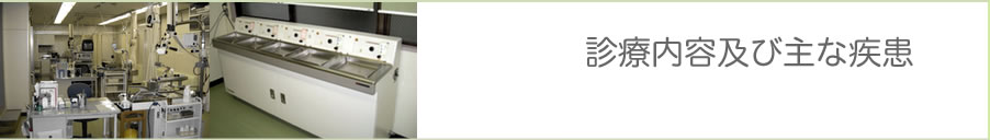 診療内容及び主な疾患